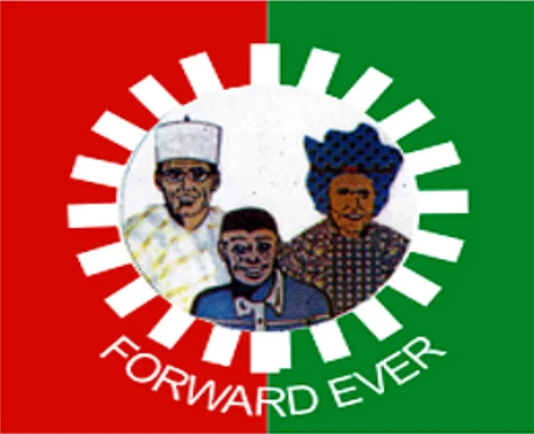 LP crisis: Nenadi-Usman impostor, we won't accept political criminality - Party chieftain