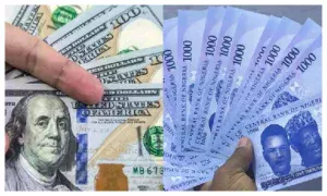 Naira Depreciates For Three Days In Official FX Market 300x180
