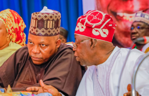 Nigeria Inaugurates Halal Economy Strategy For Global Market 300x195