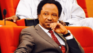 Sani Electronic Transmission No Guarantee Fair Elections 300x171