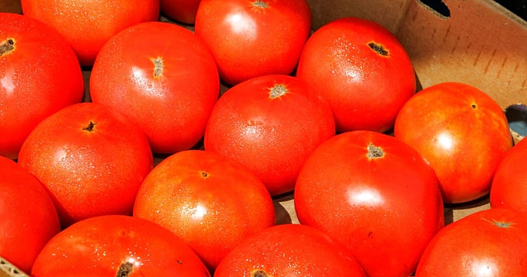 Burkina Faso’s tomato export ban raises concerns over regional supply