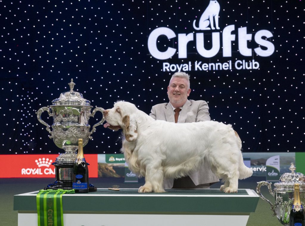 crufts birmingham show
