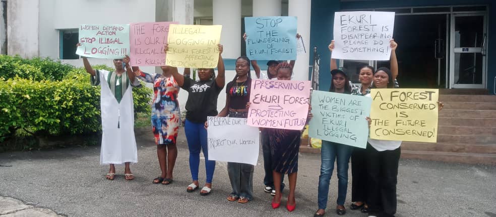 Women raise alarm, allege illegal loggers, armed men take over of Ekuri forests