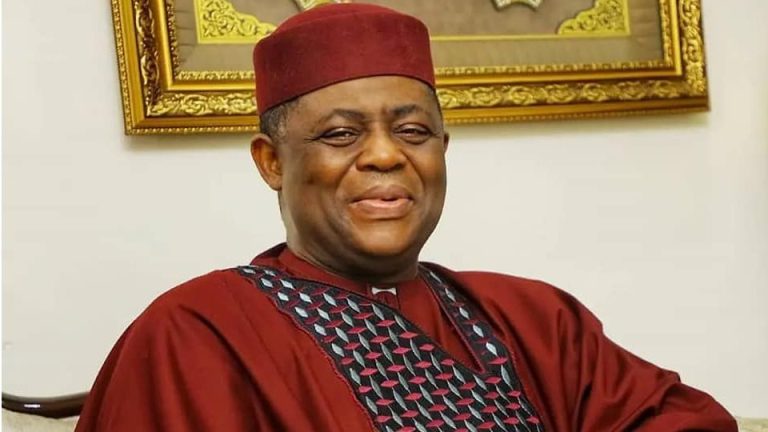 Tinubu fed Dele Momodu for 40years but he didn’t support him -- Fani-Kayode — Daily Nigerian