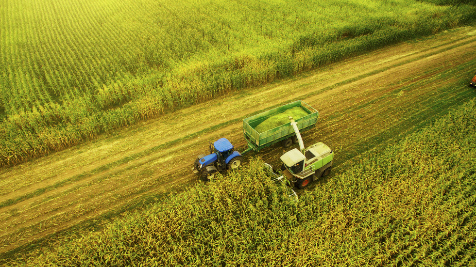 New billionaire class emerges in Russia — RT Business News