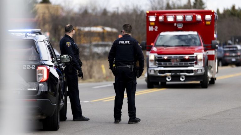 Michigan synagogue attacker ‘lost family to Israeli attack’ – official — RT World News