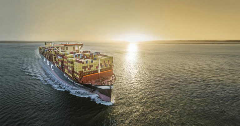 MSC, Nigerdock Sign 45-Year Snake Island Deal in Lagos