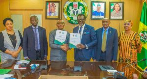 NAICOM BPP MoU On Insurance Bonds In Public Procurement 300x162