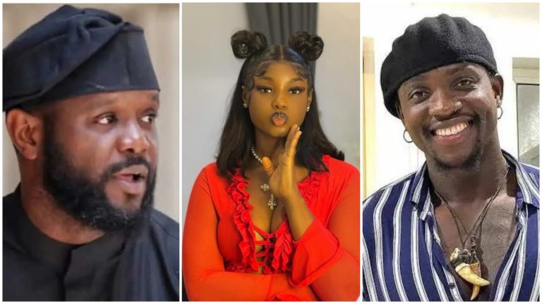 Seyi Tinubu, VDM, King Mitchy saga: NCC, NBC should sanction content creators —Akinlosotu