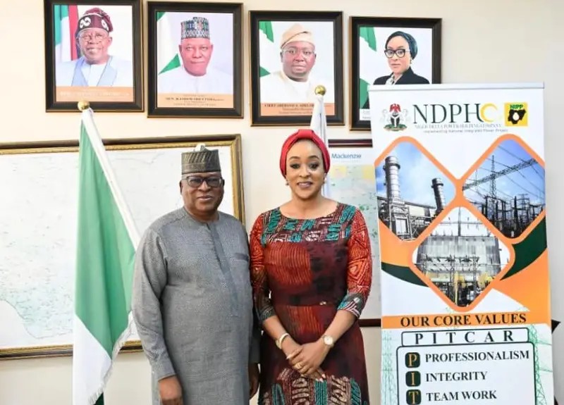 Togo seeks increased electricity imports from Nigeria — Daily Nigerian