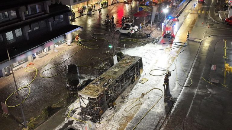 Six killed in Swiss bus fire after suspected self-immolation (VIDEO) — RT World News
