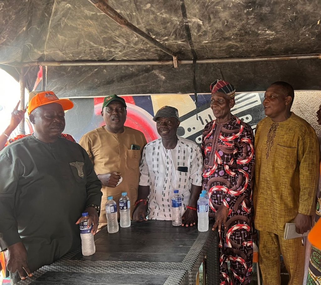 Only the blind would say Tinubu is not working - Ogun APC leader