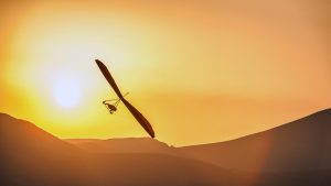 Ukrainian Draft Evader Flies Ultralight To Romania For Asylum 300x169