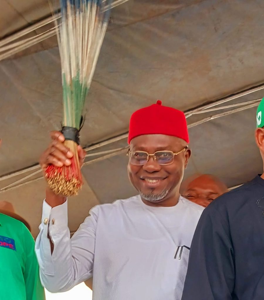 Imo APC elects new State exco, as Onyedebelu emerges chairman