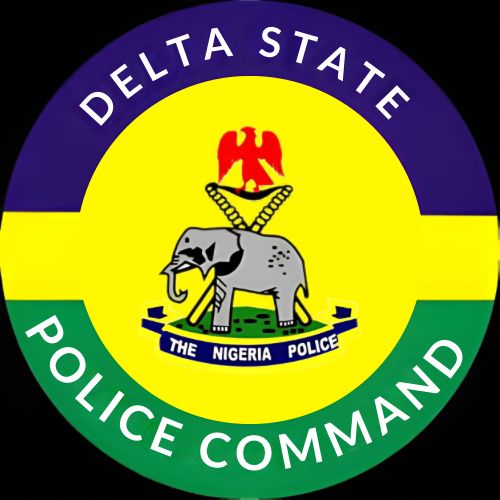 Ozoro festival: Police give update, confirms arrest of seven more suspects