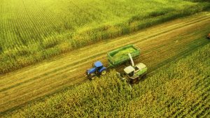 Food Production Fuels Eight New Russian Billionaires 300x169