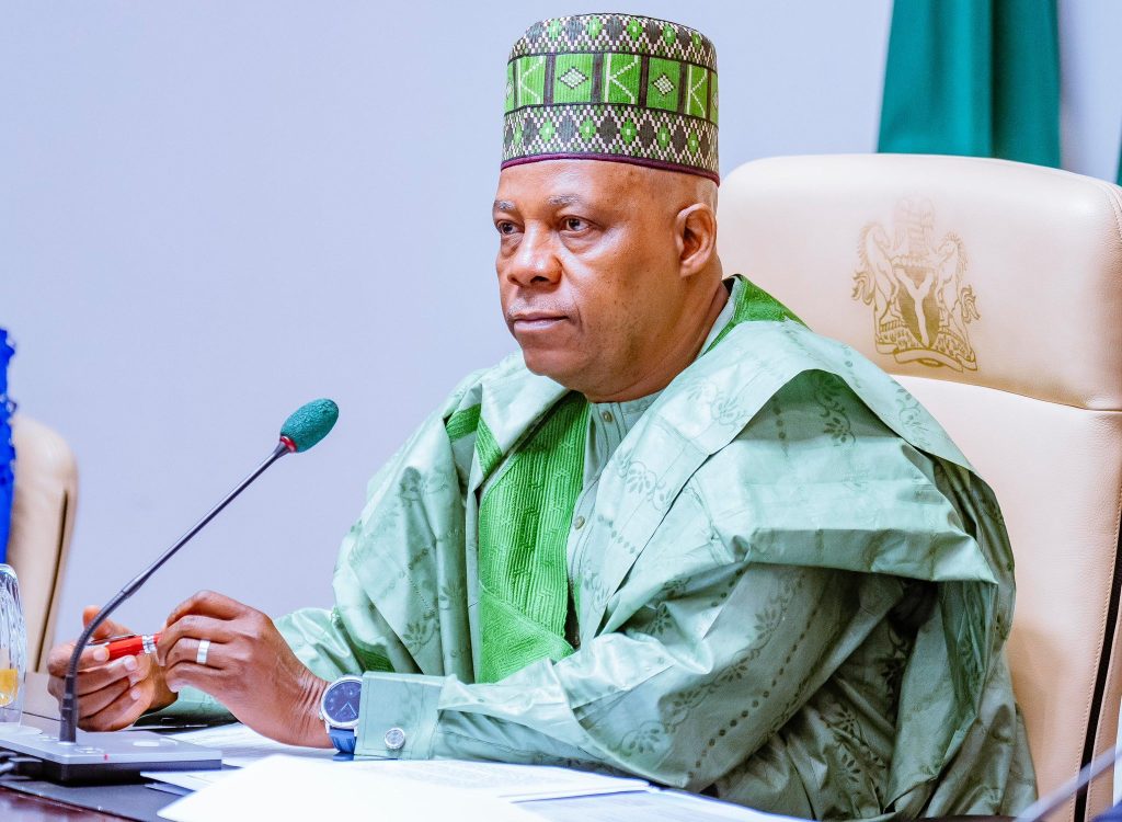 ADC membership flooded with fake identities - VP Shettima slams opposition