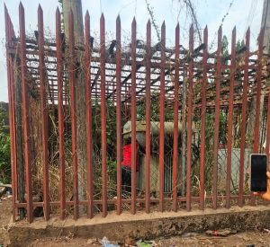 Vandal Electrocuted At Enugu Substation In Cable Theft 300x275