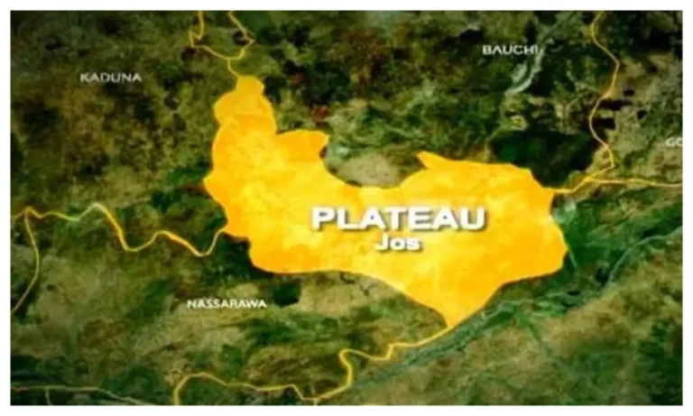 Plateau crisis politically motivated, driven by land grabbing – Plateau elders tell Tinubu