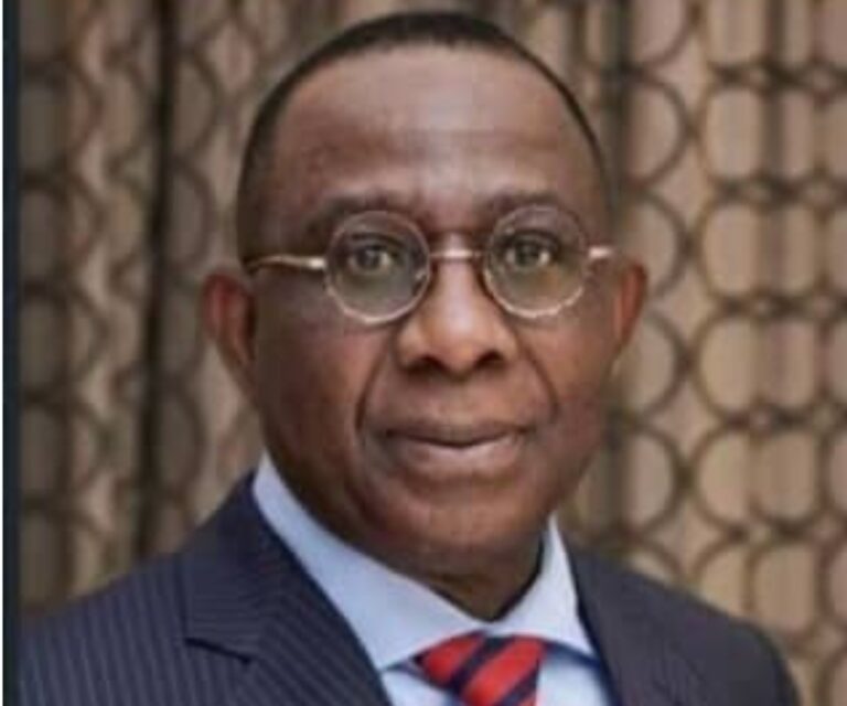 Failure of Ajaokuta Steel caused by corruption, poor leadership — Economist Oyelaran-Oyeyinka