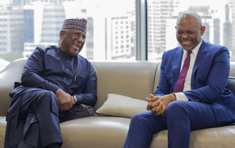 Rabiu, Elumelu strengthen partnership as BUA Foods posts N1.77trn revenue, N28 dividend — Daily Nigerian
