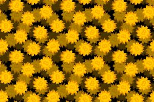 Drift Hack Suspends Withdrawals After Major Crypto Theft 300x200