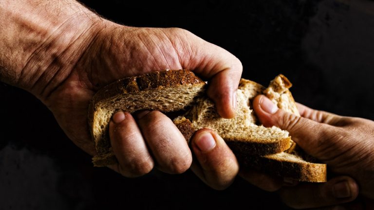 War on Iran could trigger global famine – charity founder — RT World News