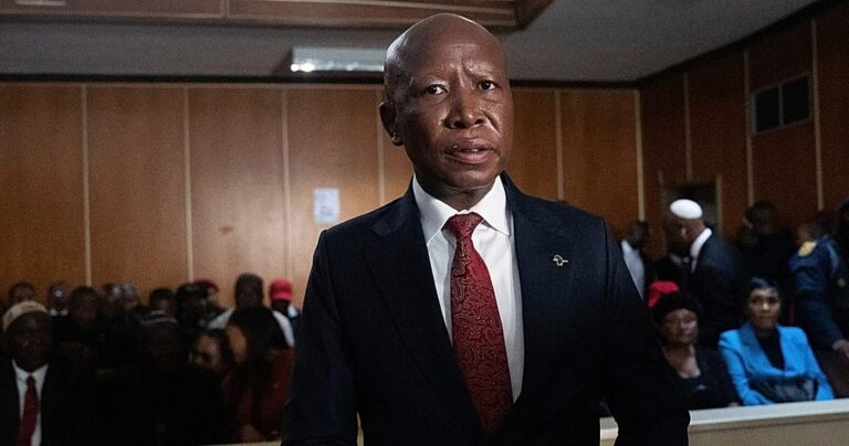 South African opposition politician gets jail term for gun offence