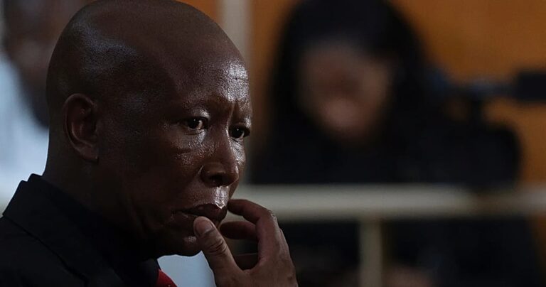 South African opposition leader sentenced to five years in jail for firing gun
