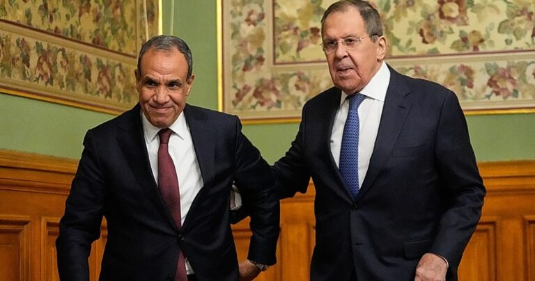 Russian and Egyptian FMs hold talks in Moscow