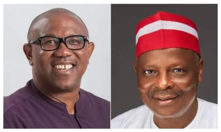 Kwankwaso has agreed to be Peter Obi's running mate - Ibrahim Abdulkarim