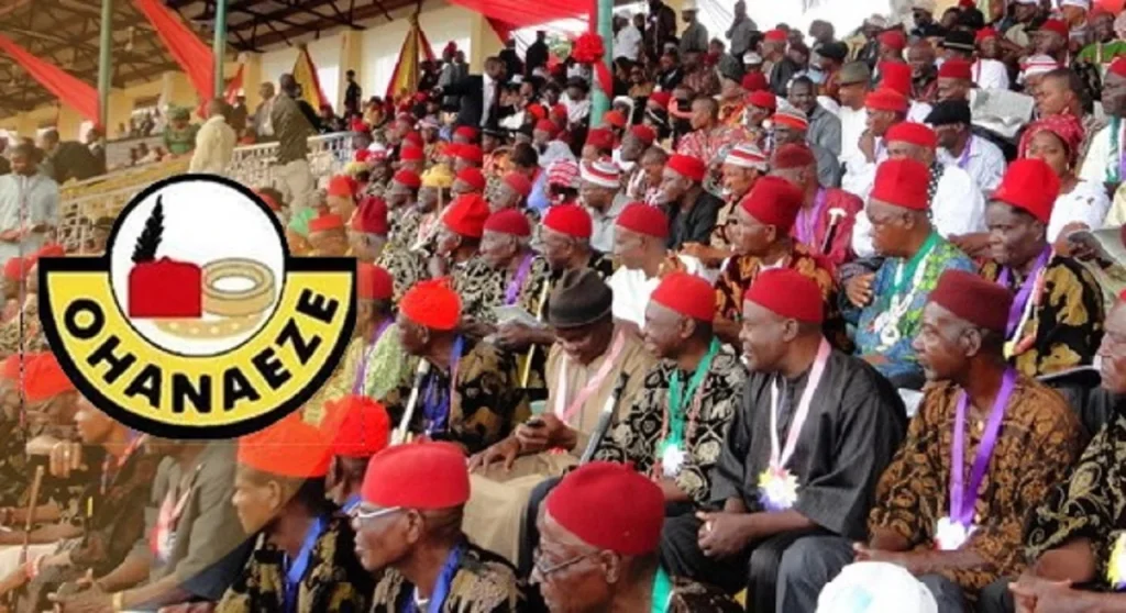Ohanaeze bans ‘Eze Ndigbo’ title outside Igbo land, adopts new constitution