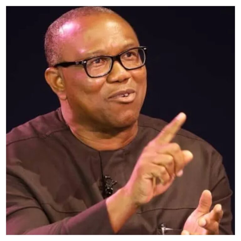ADC: Why I joined Atiku, Kwankwaso, others to protest against INEC - Peter Obi