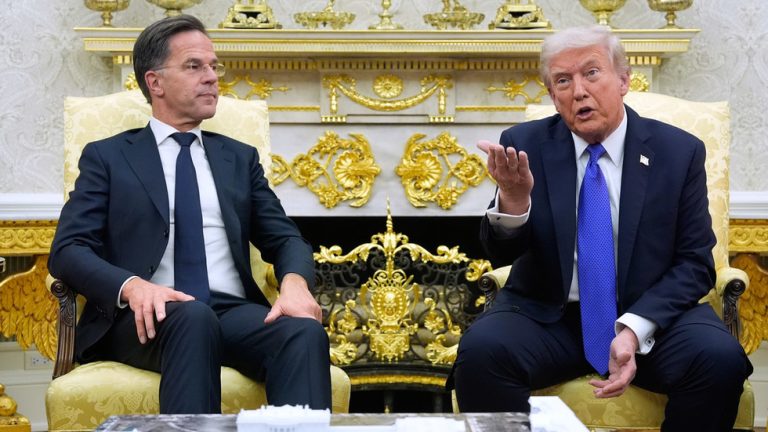 Trump issues ultimatum to NATO as bloc chief visits ‘Daddy’ — RT World News