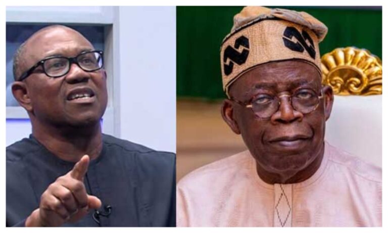 2027: Peter Obi only opposition figure with solid vote bank against Tinubu - Wali