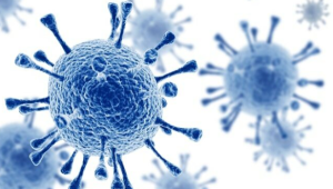 Kano Stigma And Poverty Drive Surge In New HIV Cases 300x170