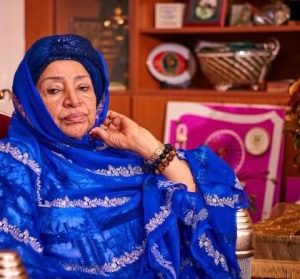 Maryam Abacha Urges Northern Leaders To Engage Government Constructively On 300x279