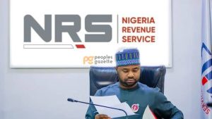 Nigeria Revenue Service Busts False Vehicle Tax Infographic 300x169