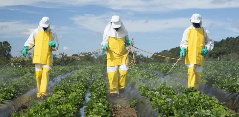 Pesticides.fw