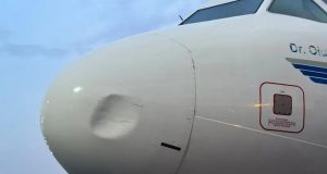 United Nigeria Airlines Grounds Airbus A320 After Sixth Bird Strike 300x160