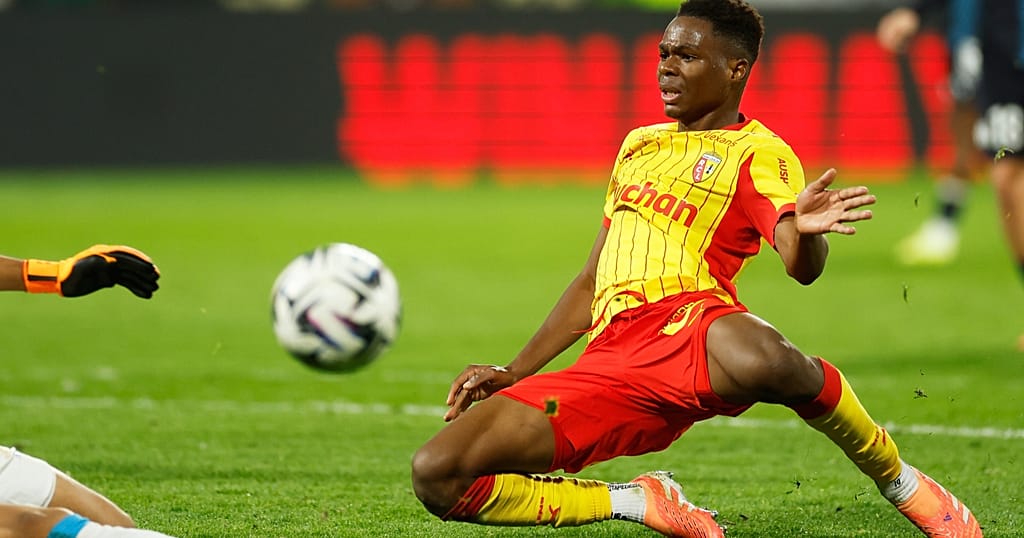 Mali's Mamadou Sangaré named top African player in French football league