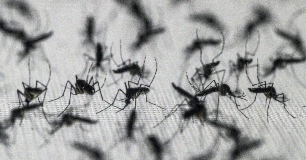 Saving Lives vs. Harming Nature