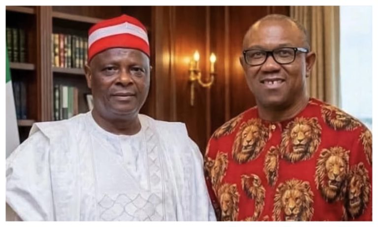 Nigerians split as Obi, Kwankwaso NDC move sparks political debate ahead of 2027