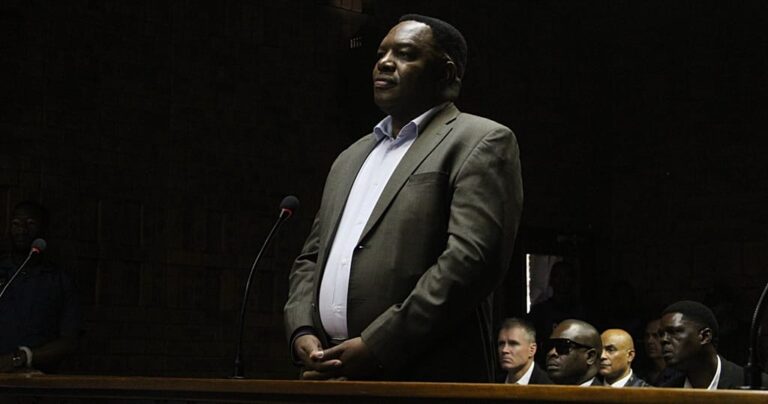 South Africa's suspended top cop appears in Pretoria court