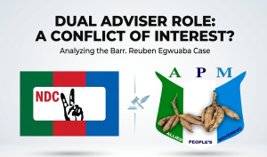 Barr. Reuben Egwuaba Listed As National Legal Adviser For Both APM And NDC On INEC Portal 300x177