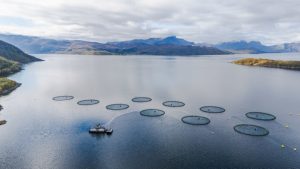 Norway Fish Farms Waste Equals Sewage Of 20 Million People 300x169