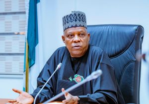 Vice President Kashim Shettima Urges Unity For 2027 Polls 300x209