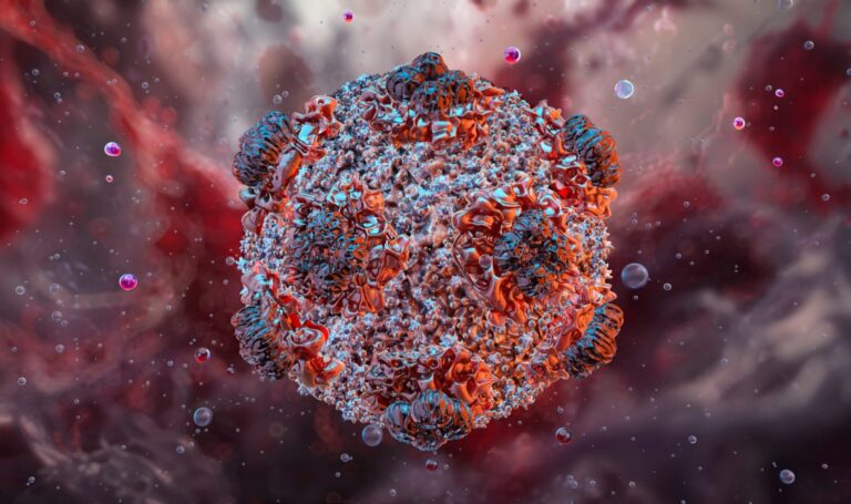 More Hantavirus cases may emerge in coming weeks — WHO — Daily Nigerian