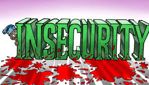 INSECURITY