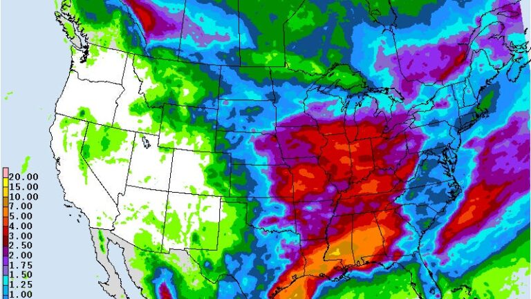 90569137007-5-day-rainfall